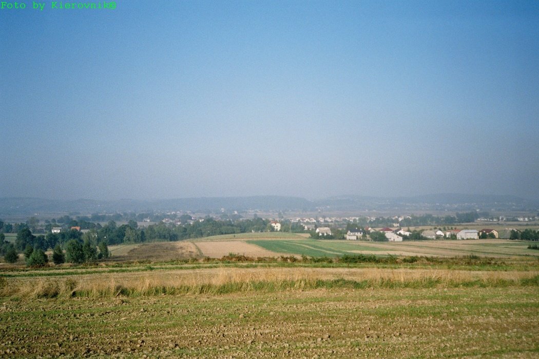 panorama7.jpg